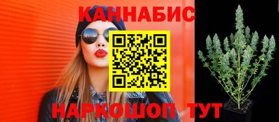 jwh Малоярославец