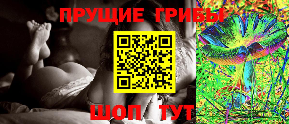 Псилоцибиновые грибы Cubensis  Вход с VPN  Псилоцибиновые грибы мухоморы  Электросталь 