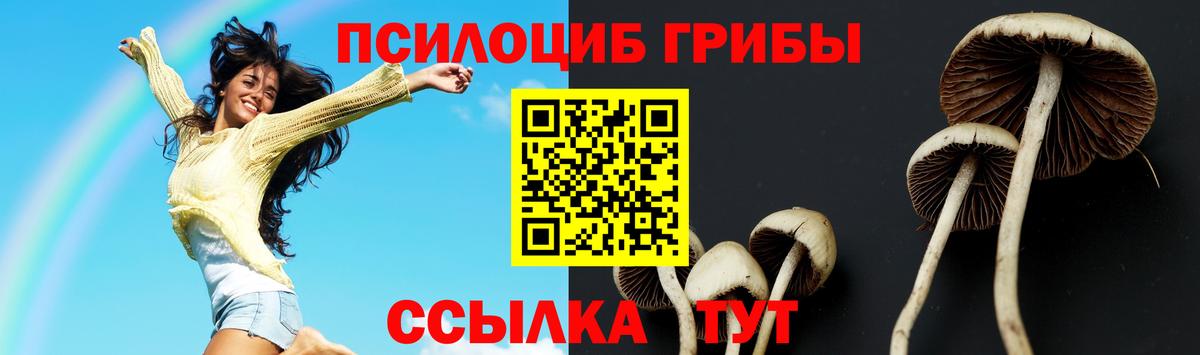 Псилоцибиновые грибы Psilocybine cubensis Электросталь